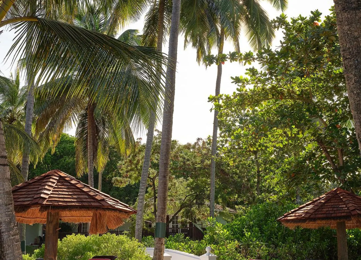 East Winds St. Lucia Hotel Gros Islet Saint Lucia