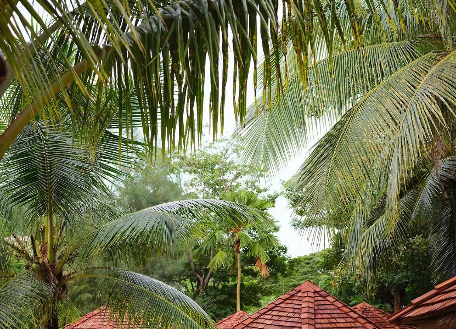 East Winds St. Lucia Hotel Gros Islet
