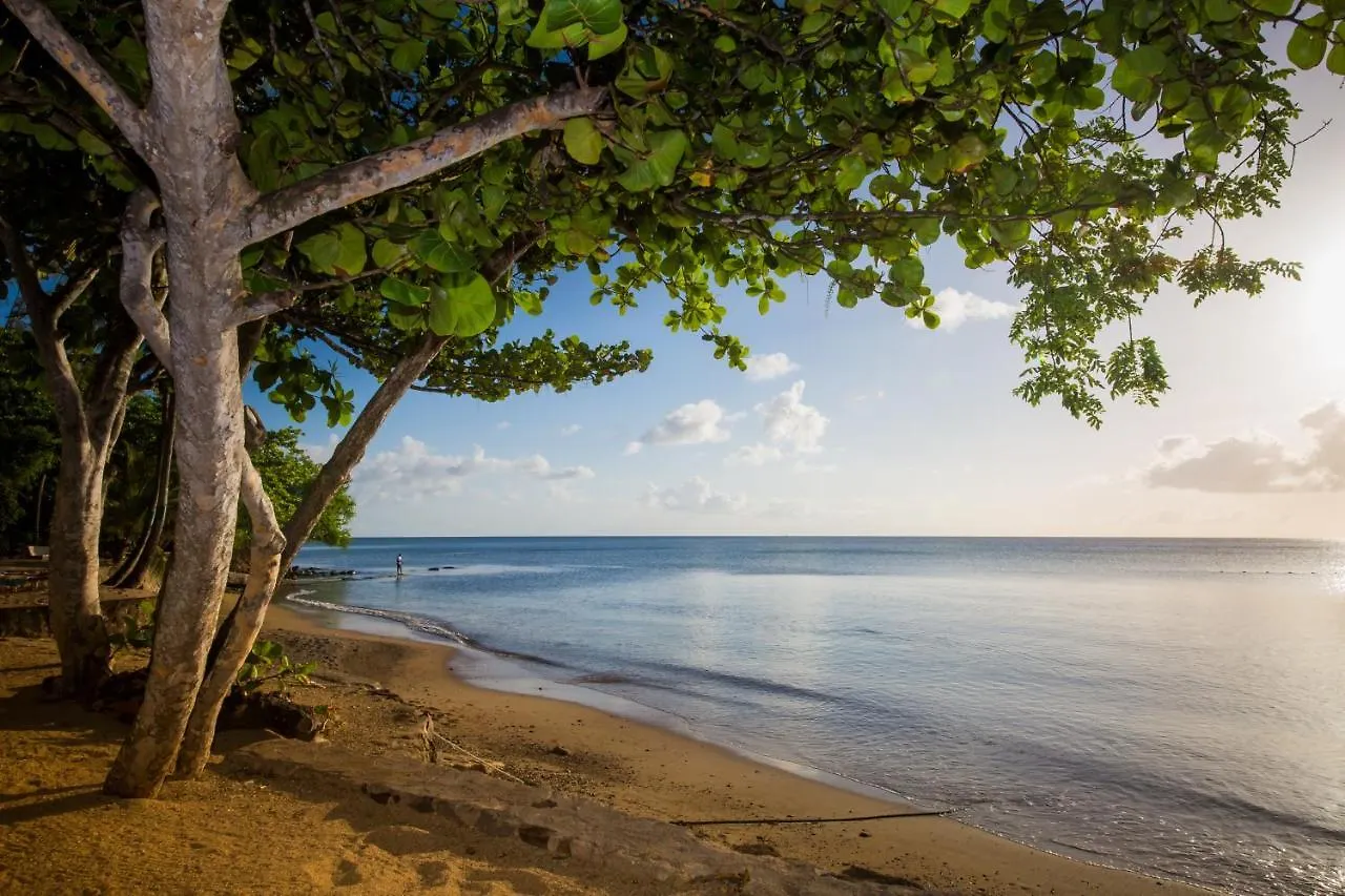 Hotel East Winds St. Lucia Gros Islet