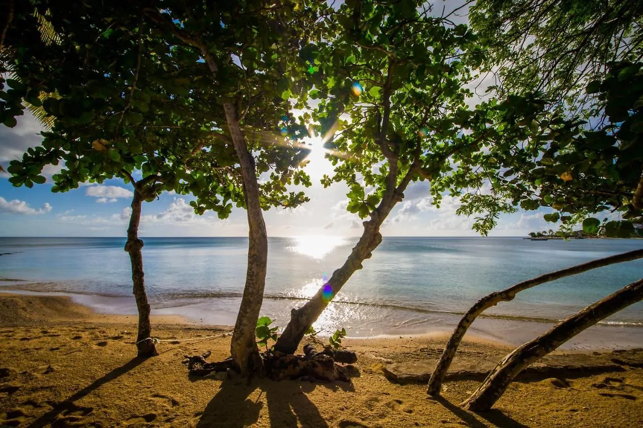 Hotel East Winds St. Lucia Gros Islet 4*,